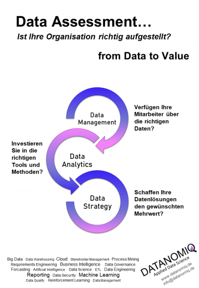 DATANOMIQ Data Assessment